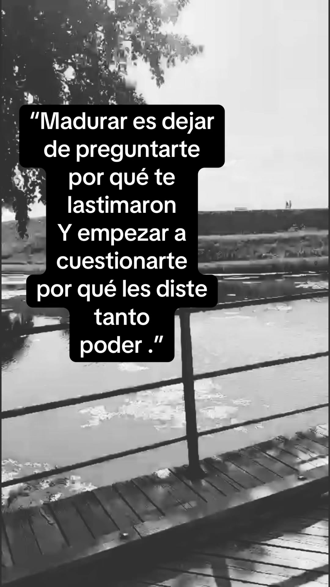 @mundo8881