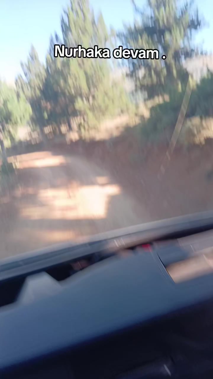 @&Uuml;mit g&ouml;kburun