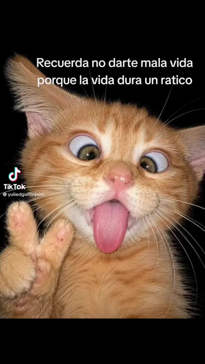 @gabriela.alvarez208