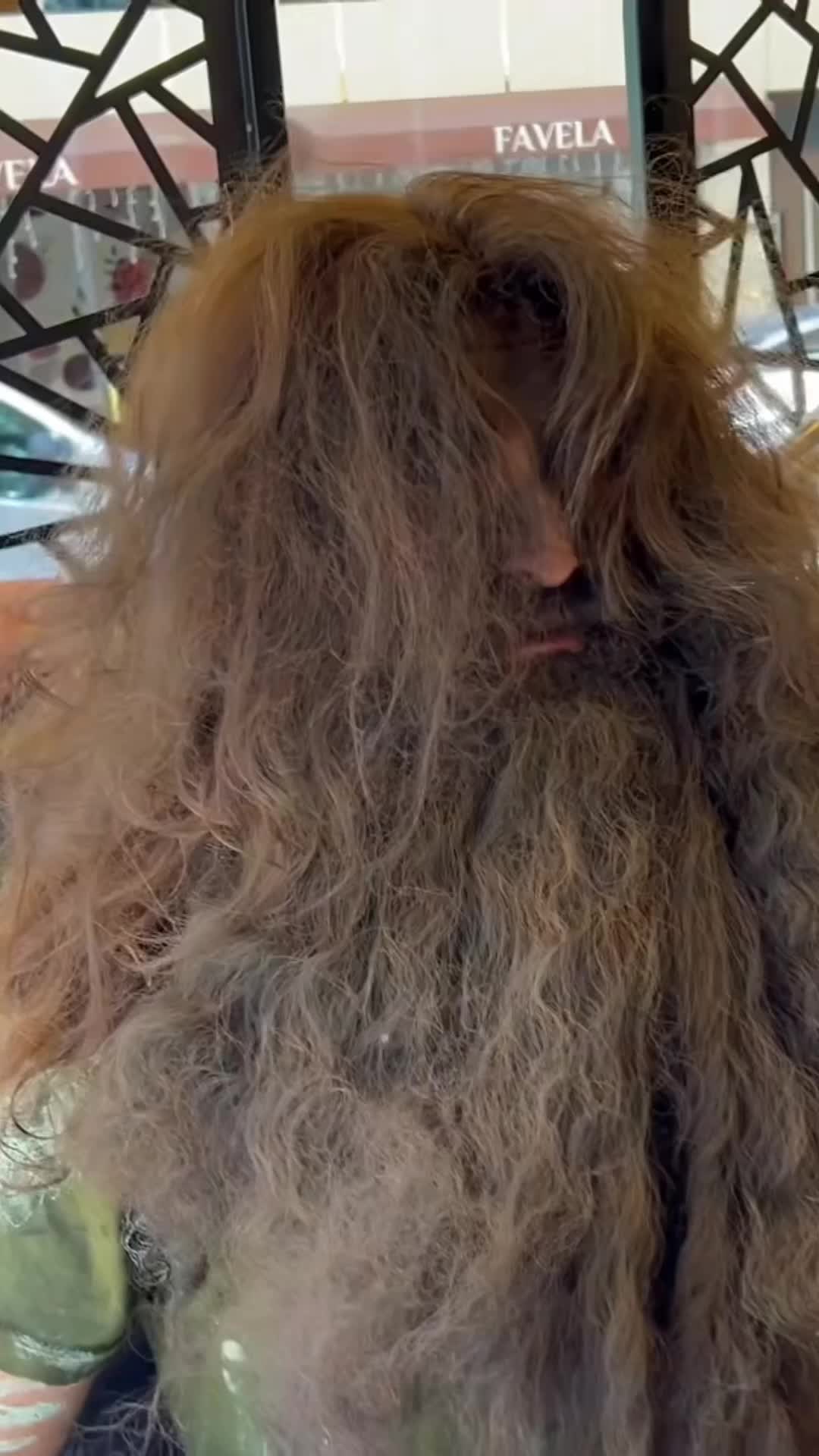 @Homeless Transformation