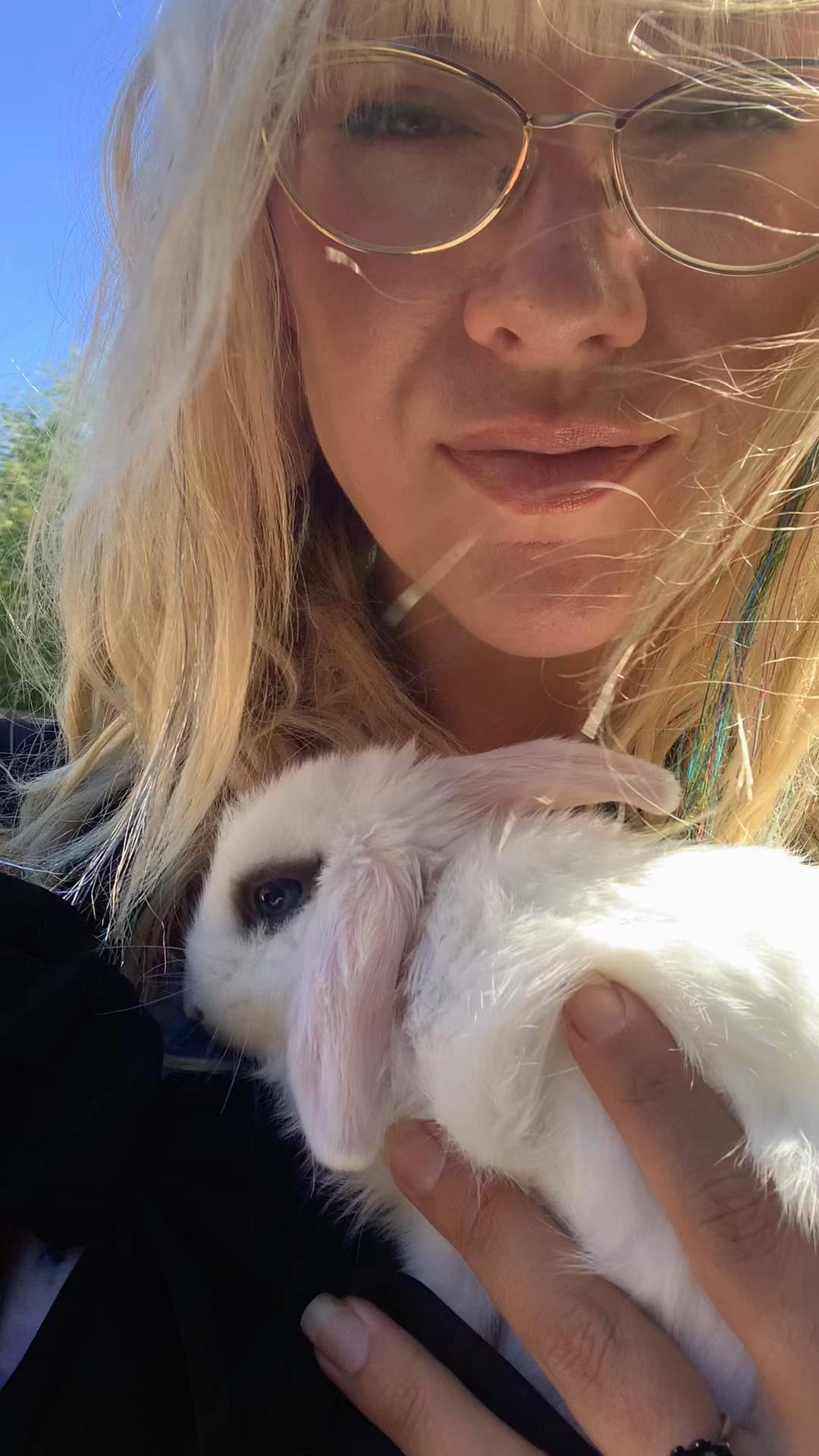 @thetarotgoddessadventure