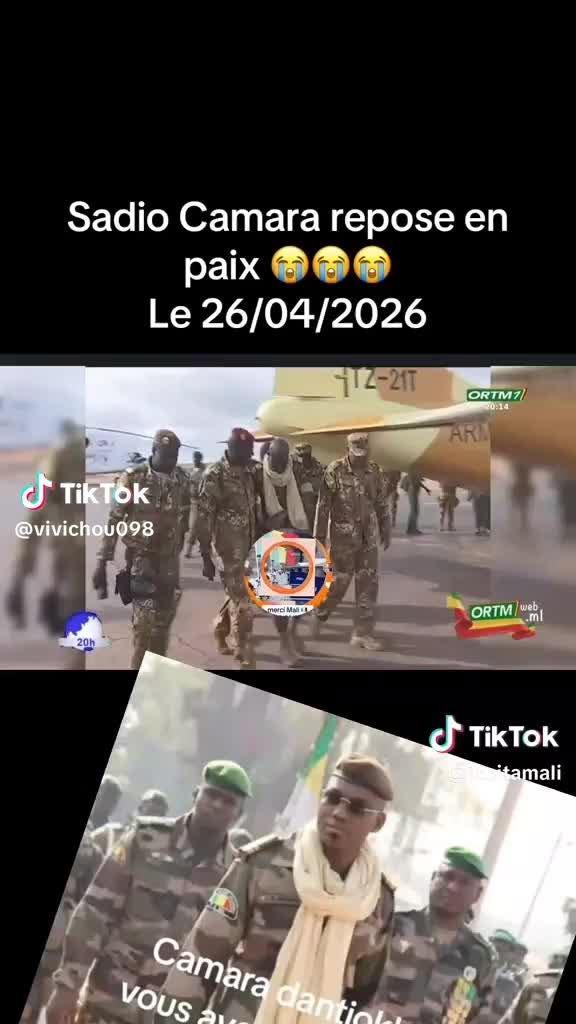 @ROI GUÉPARD N°1 223 🇲🇱
