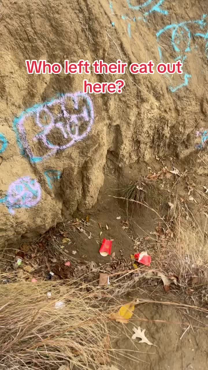 @ILoveMikesTikToks