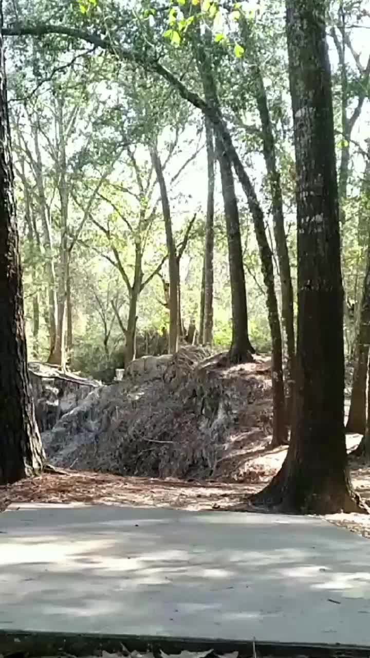 @MACIAS_DISCGOLF