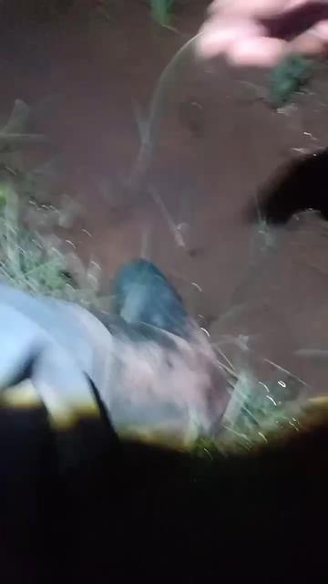 @iyazdoremi05