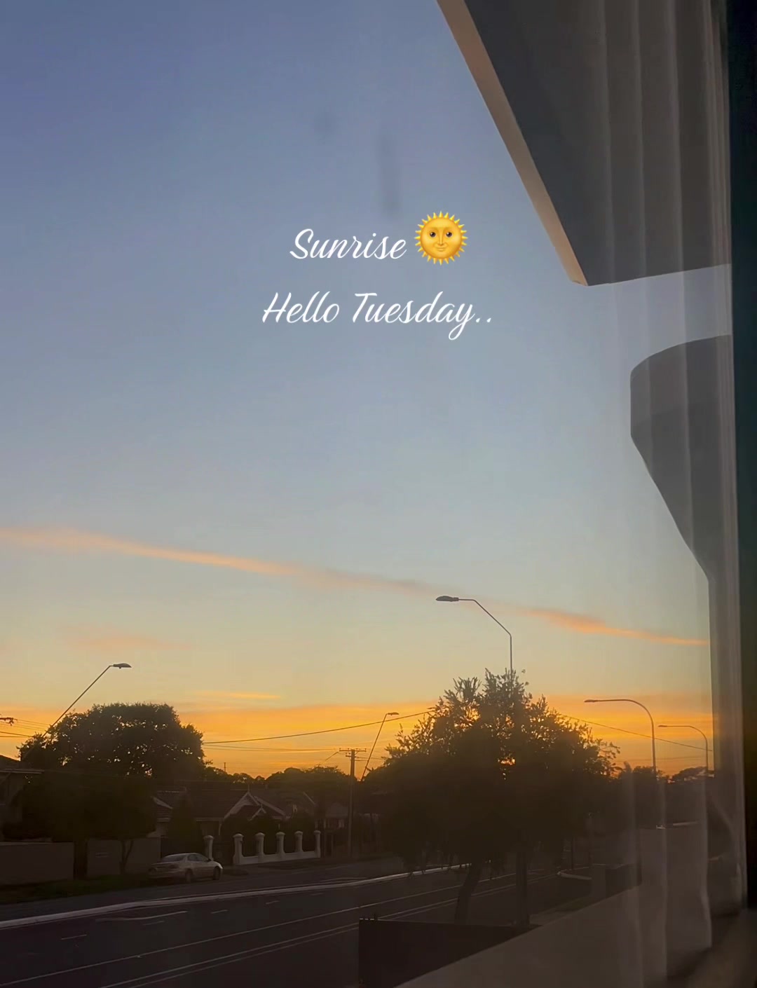@Sheitells♥️