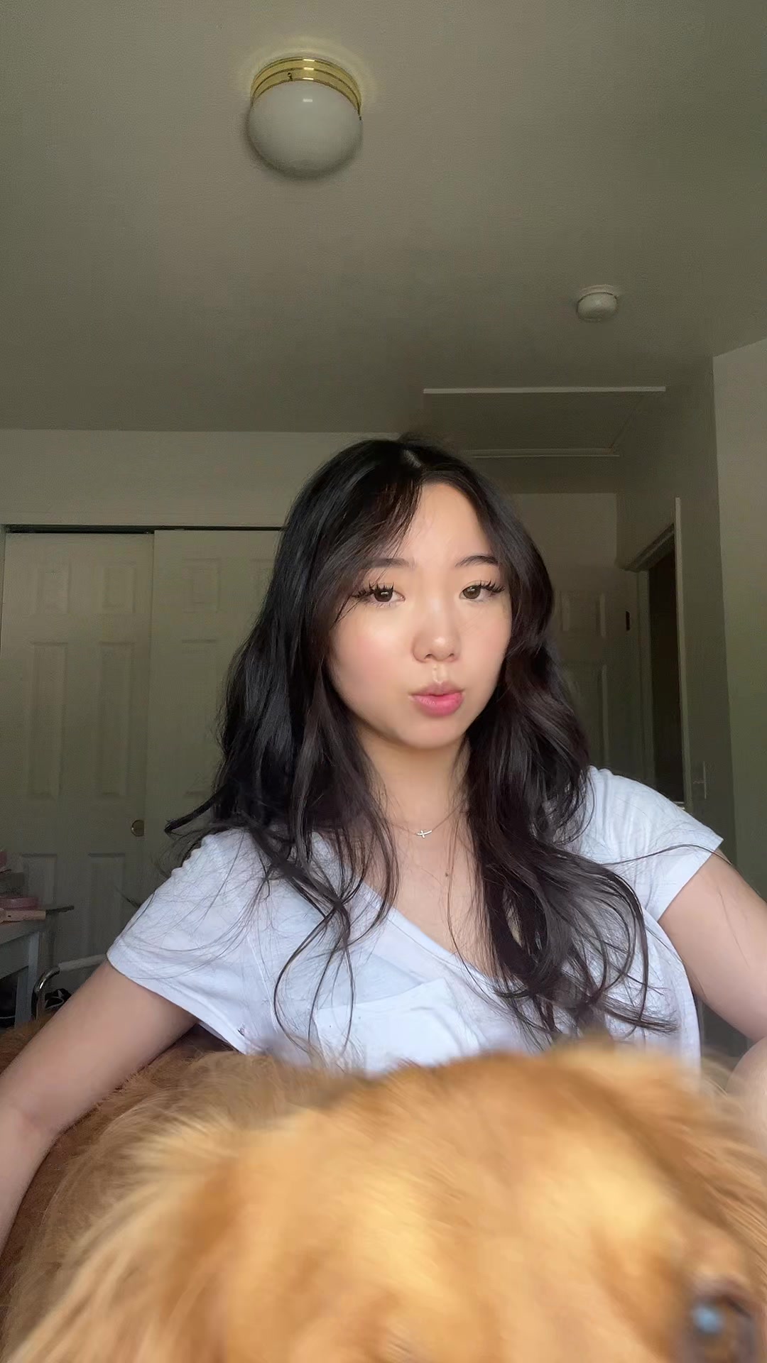 @ashley