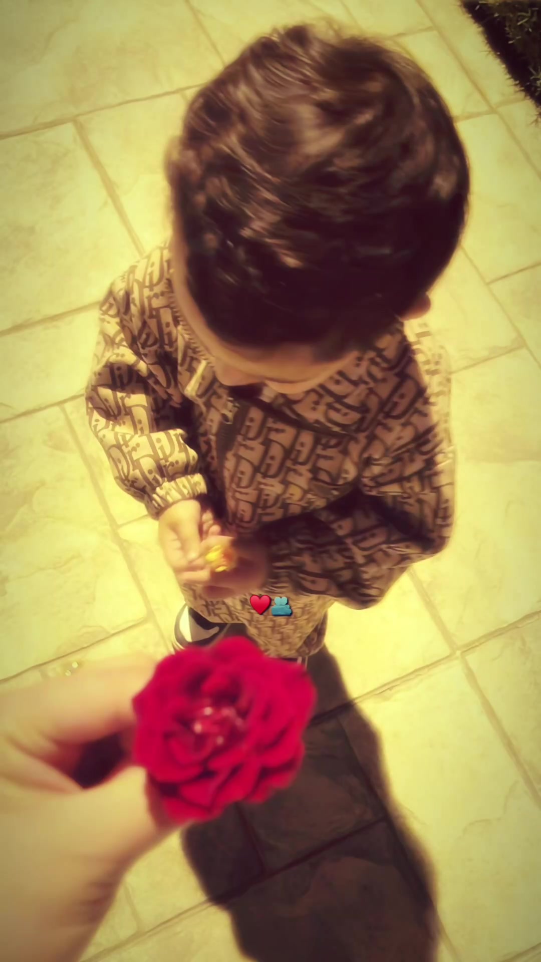 @﮼سيلڤا || s&epsilon;&epsilon;v