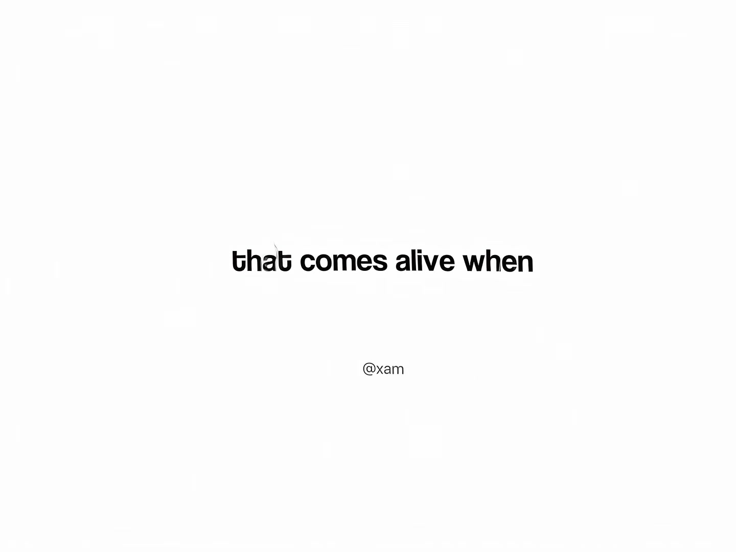 @xam🕸️