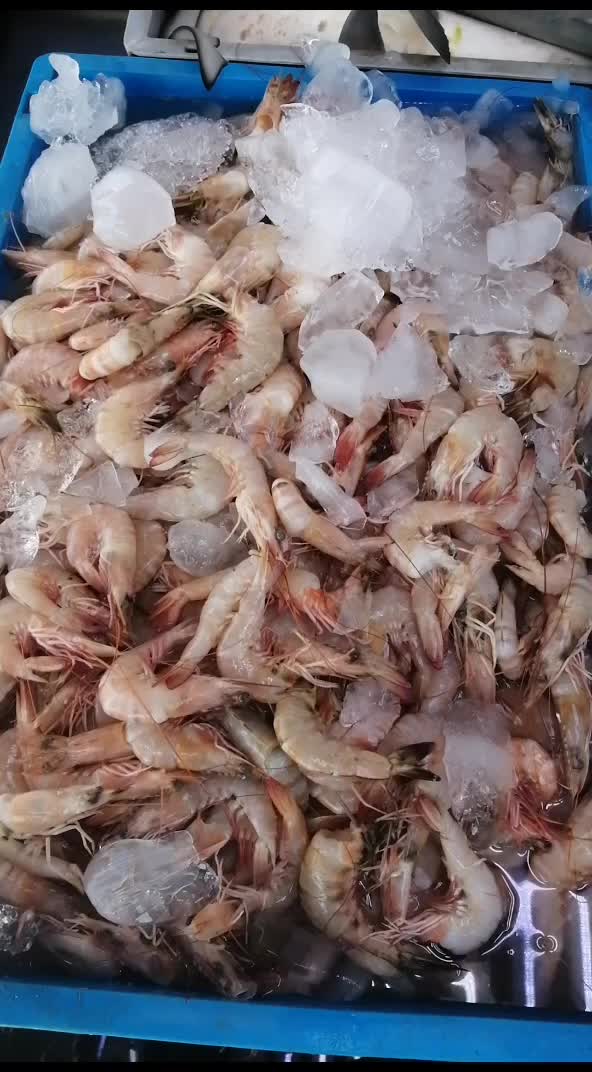 @fish mart@007