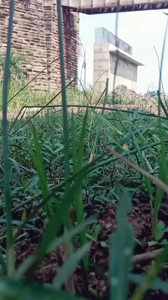 @AnKiT_Manikpuri__?✓