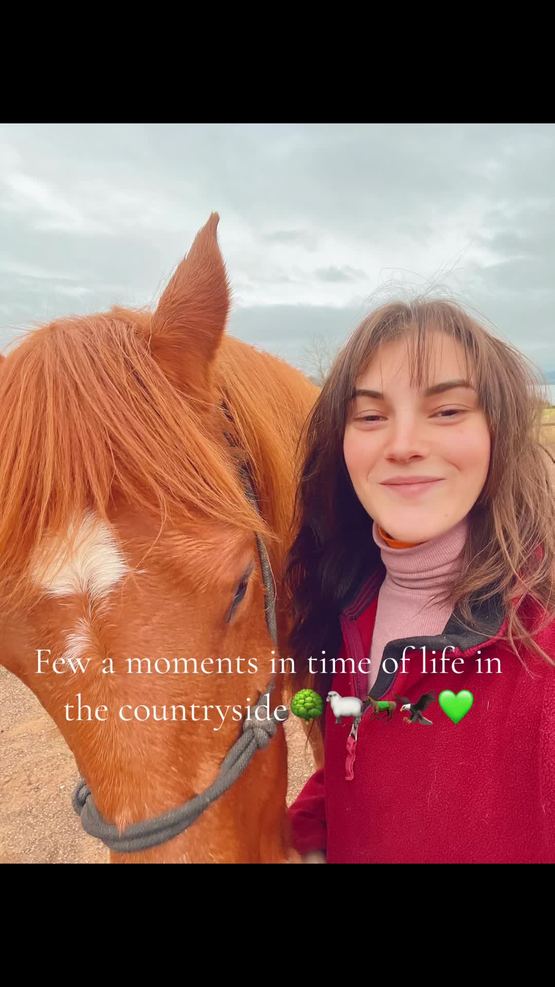 @Briony🏴🦅🪼🐋