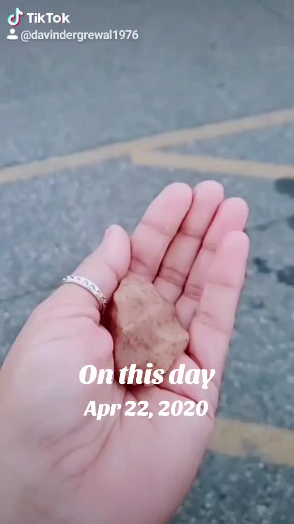 @D.G