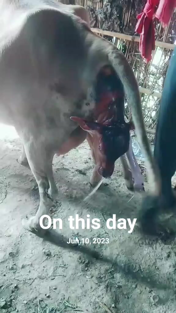 @Saraswati Soni 💝♥️🥰