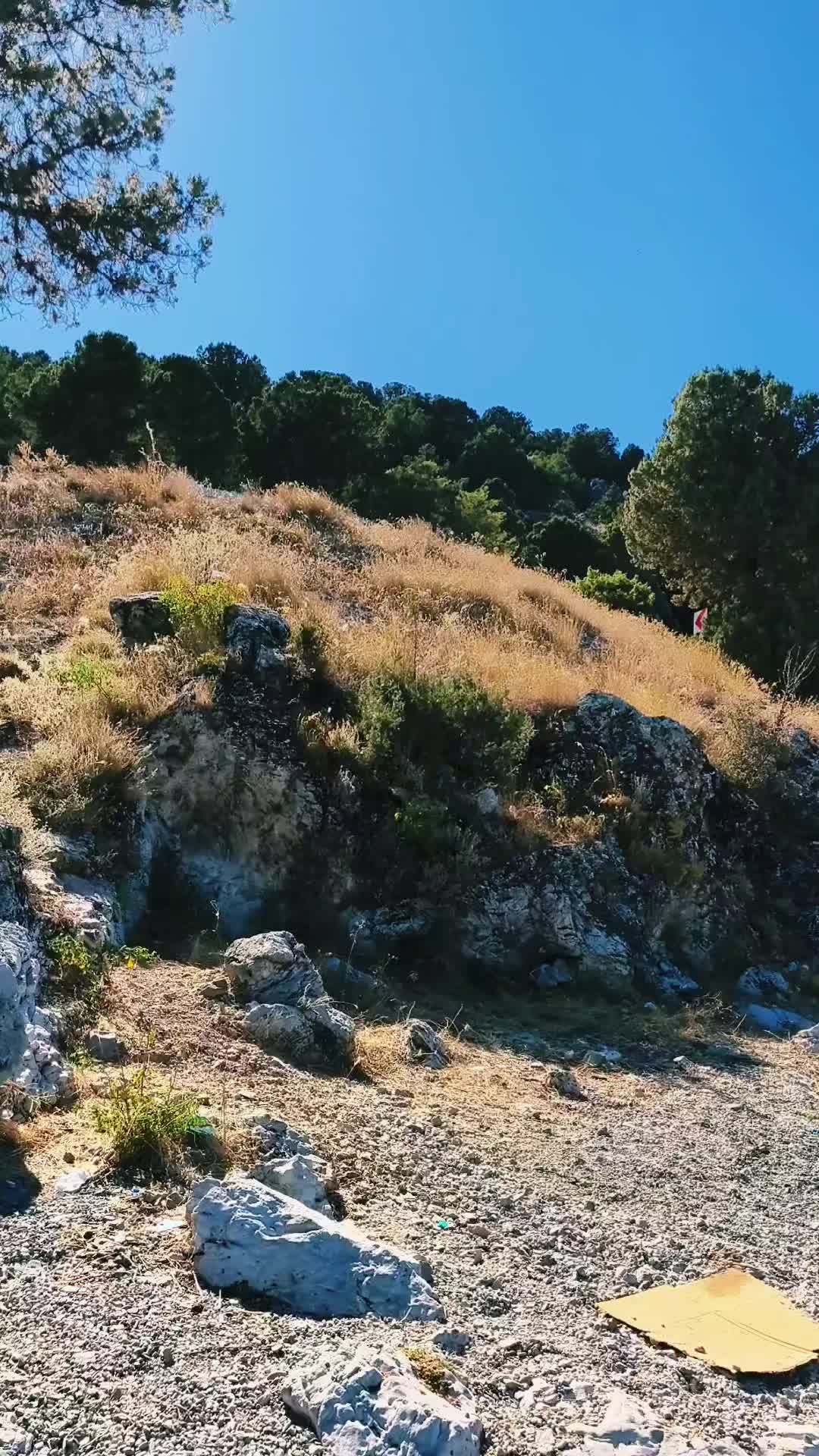 @Dilekuysl1
