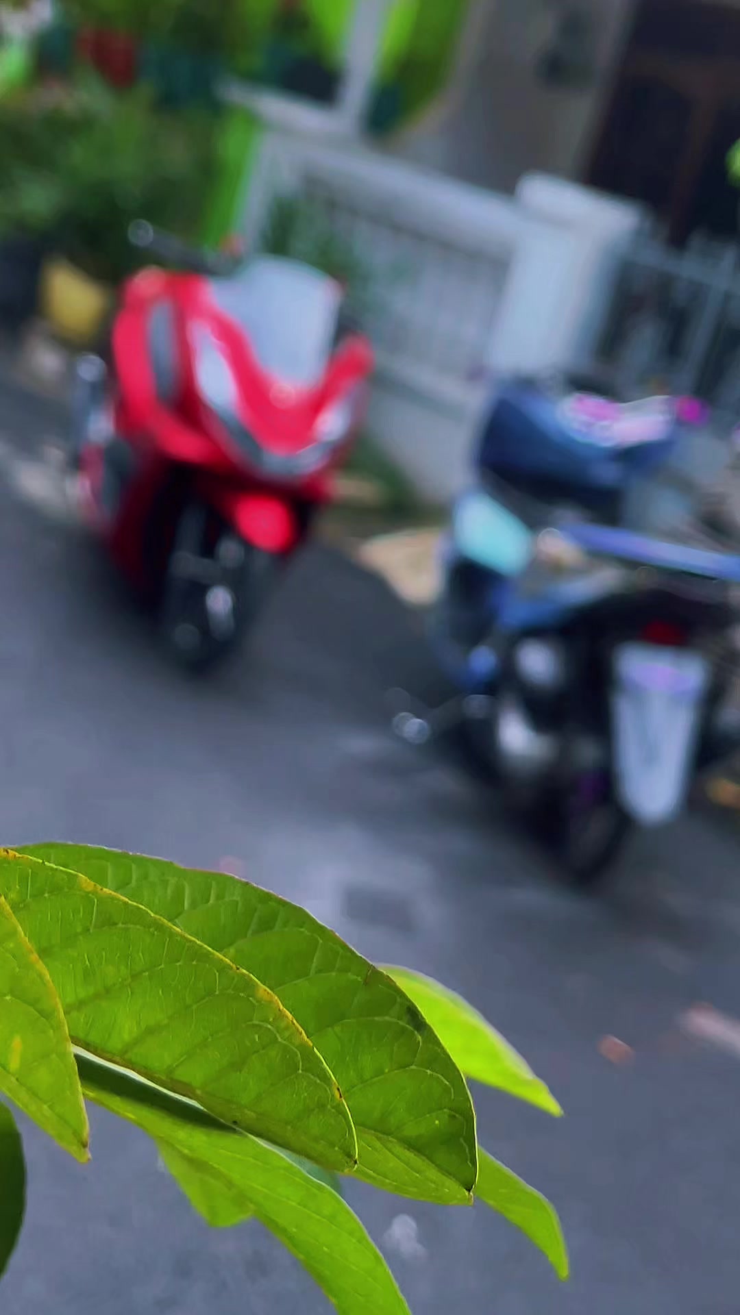 @PCX_Beng’s