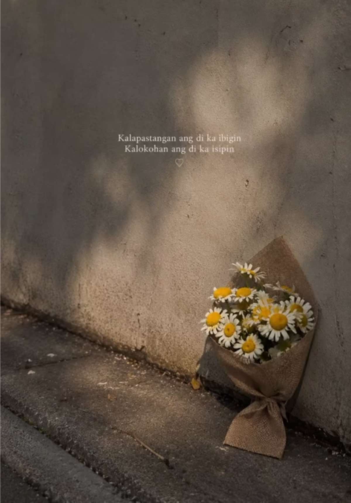 @Beloved Blooms