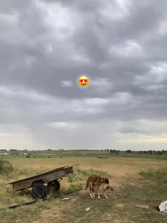 @Leýli_007