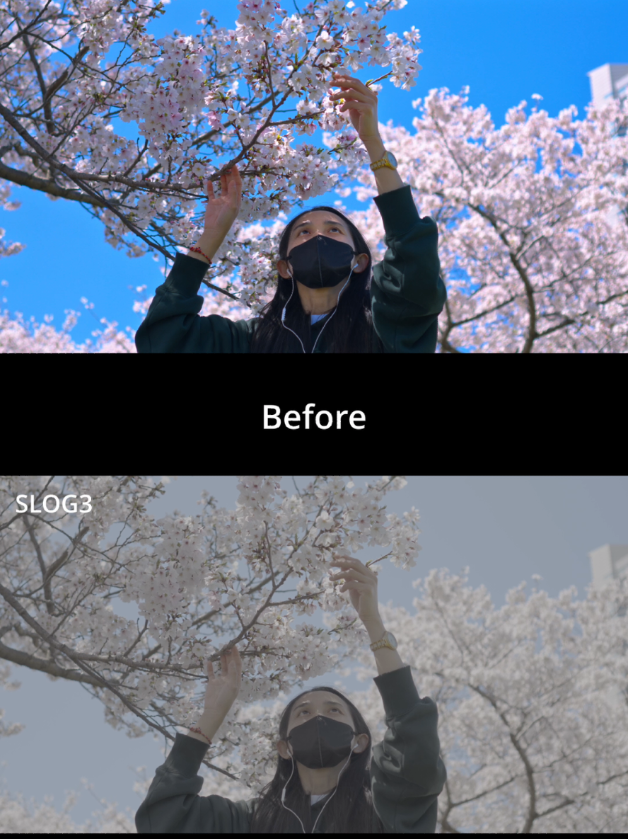 @Sashiburijapan