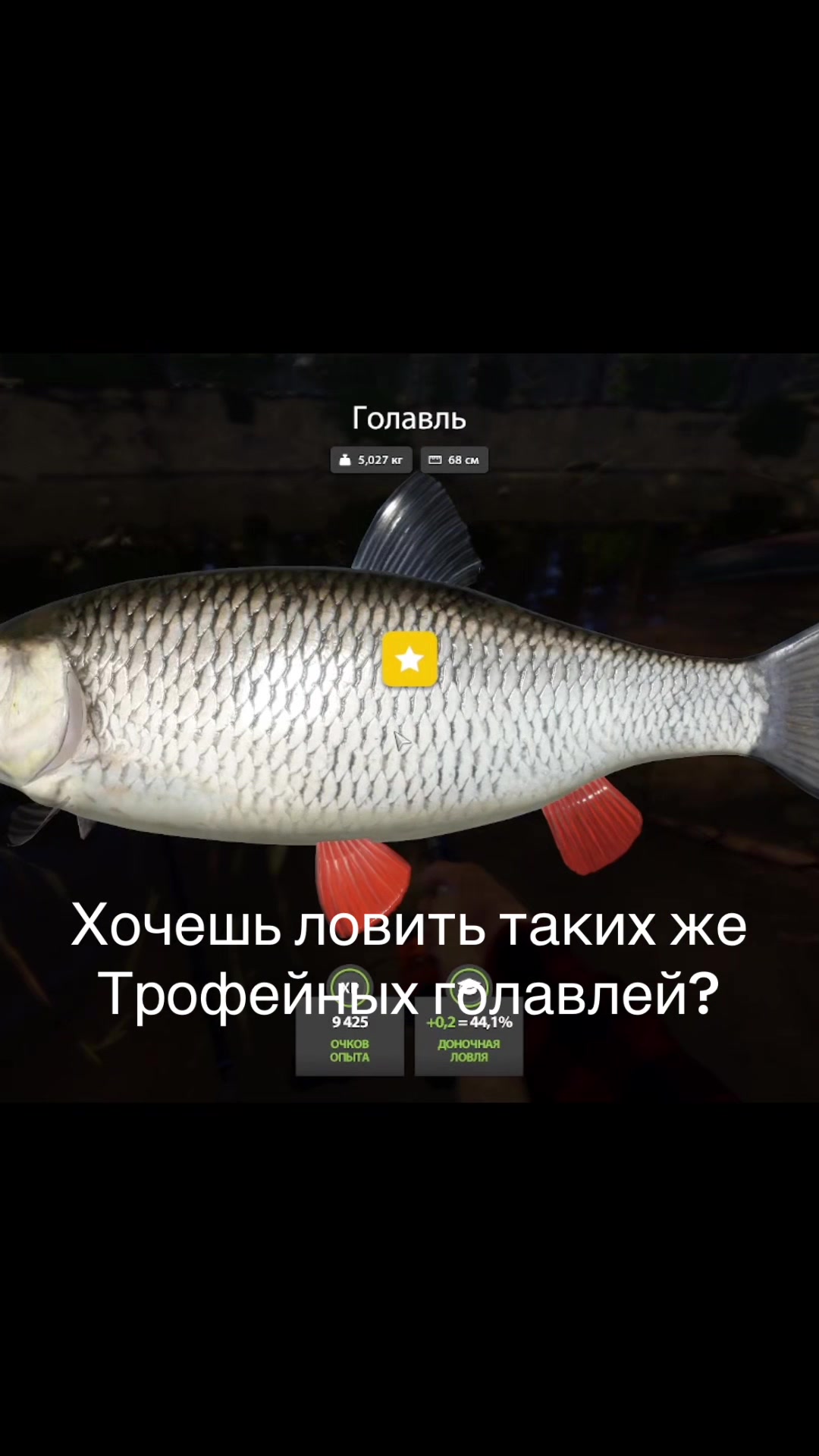 @Yashenko Mogaet