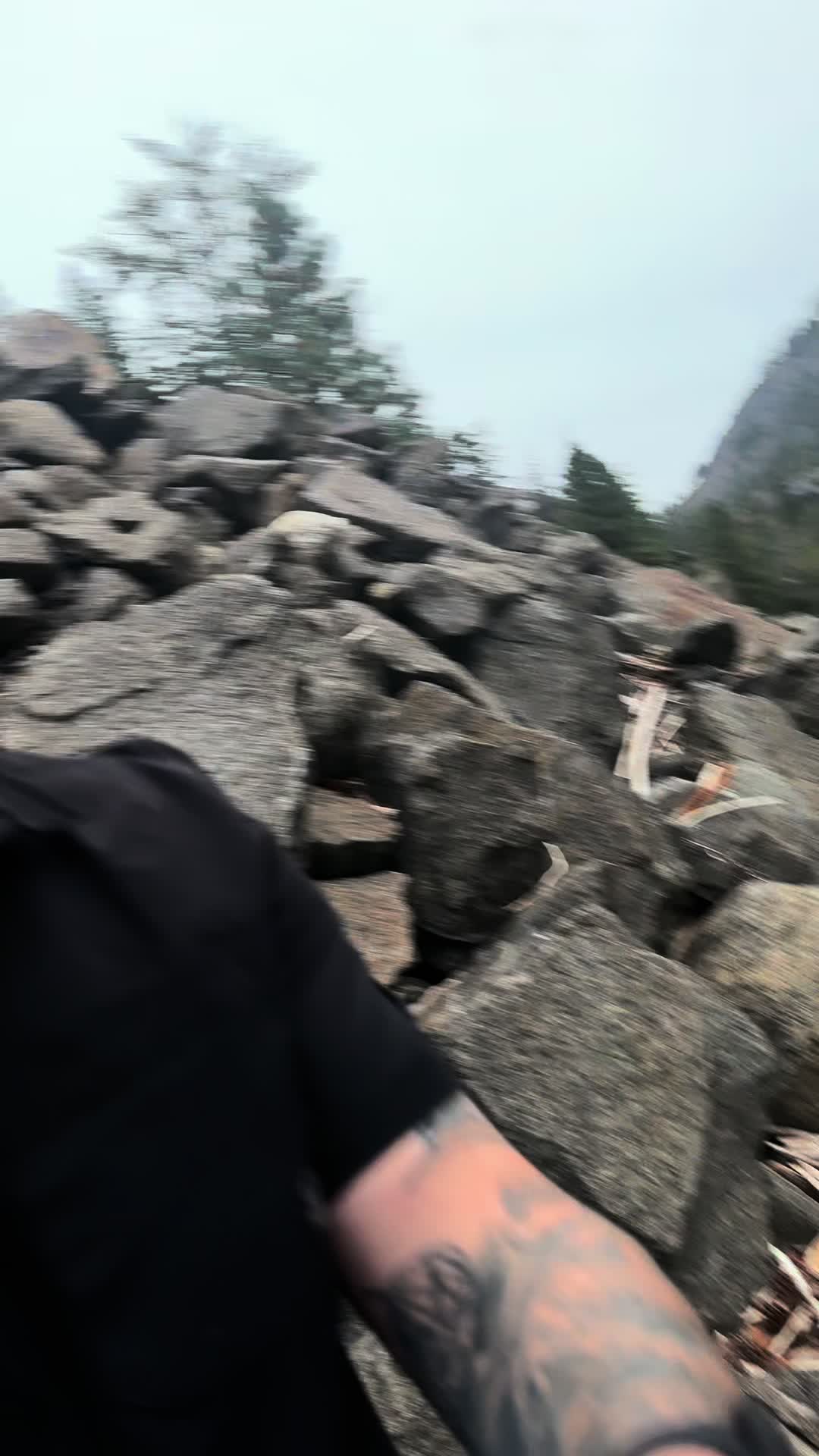 @🌲 James | WA 🏔️