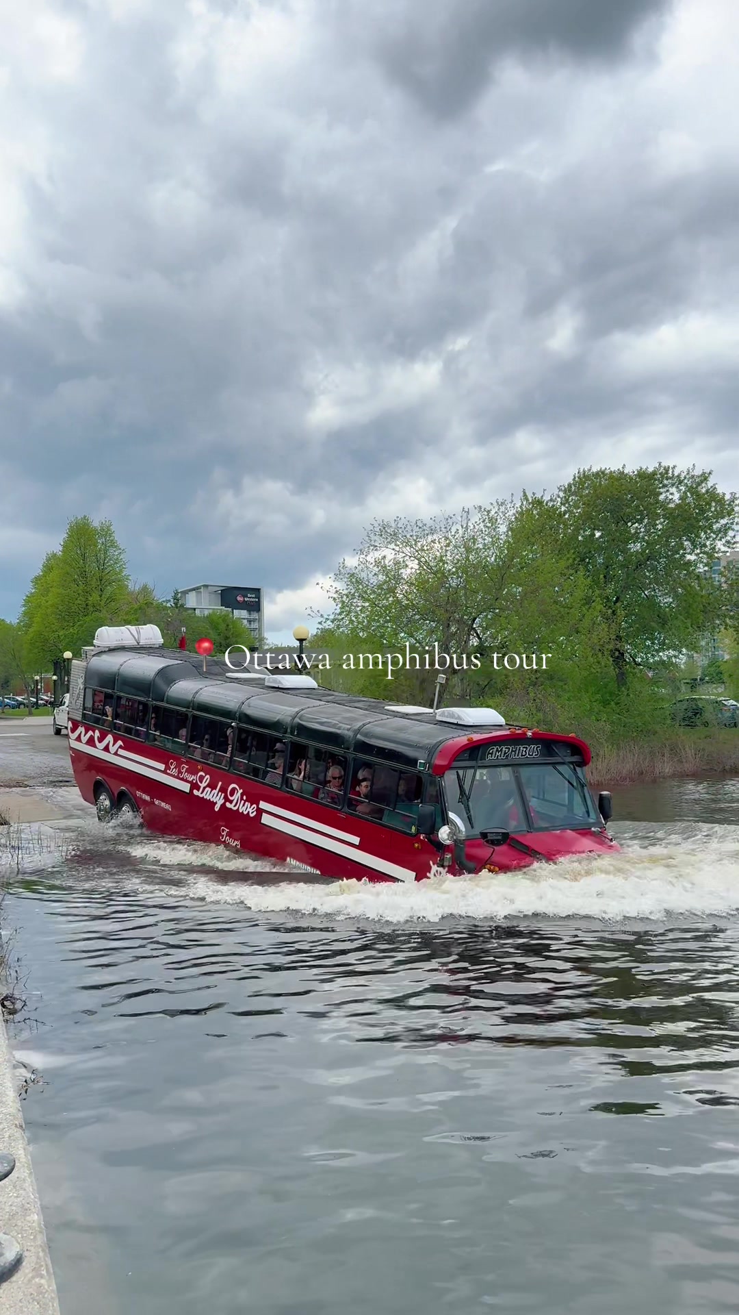 @Lady Dive | Amphibus