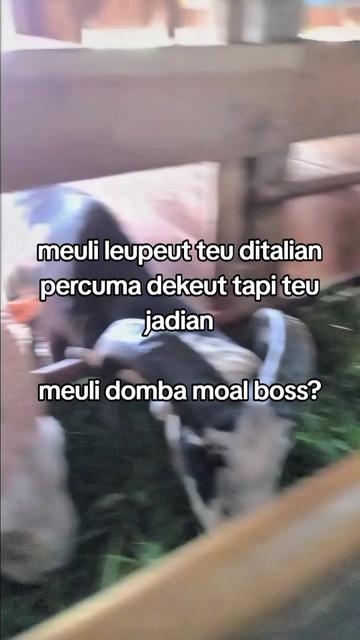 @BUNGSU