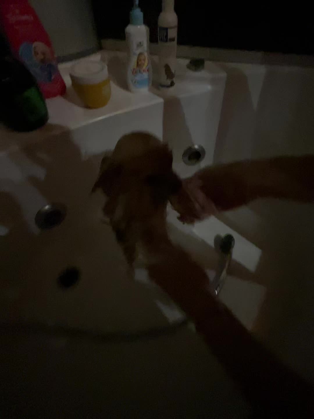 @n.