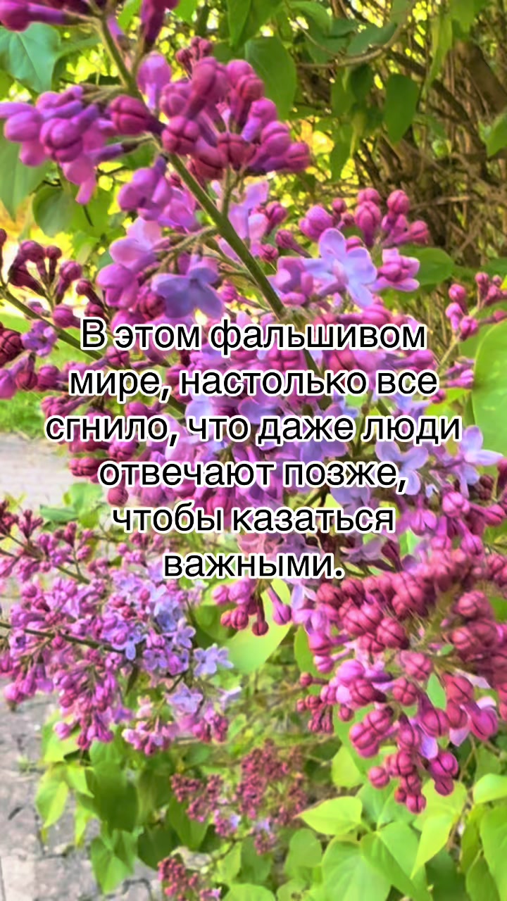 @Svetlana