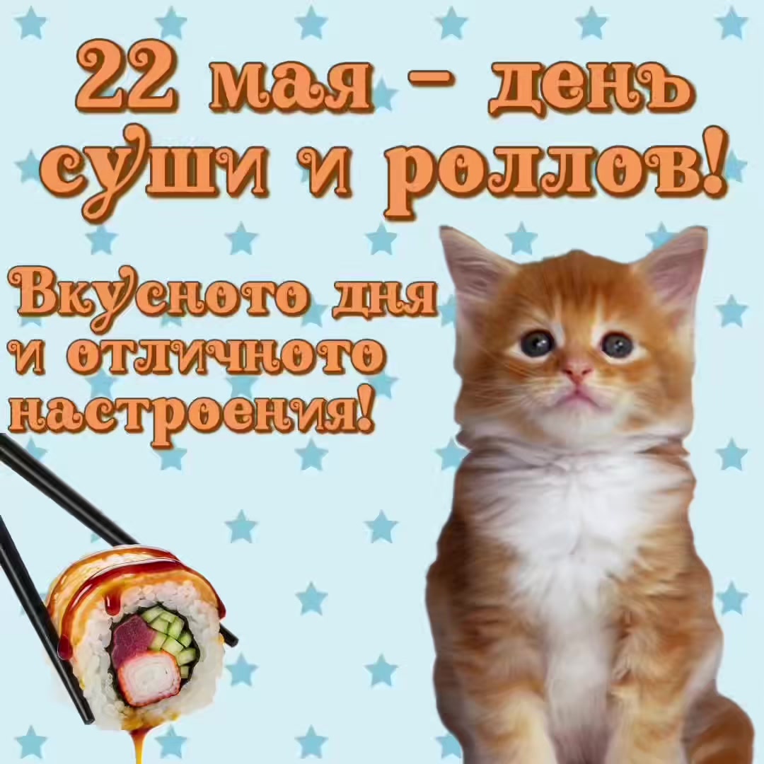 @котики на каждый день