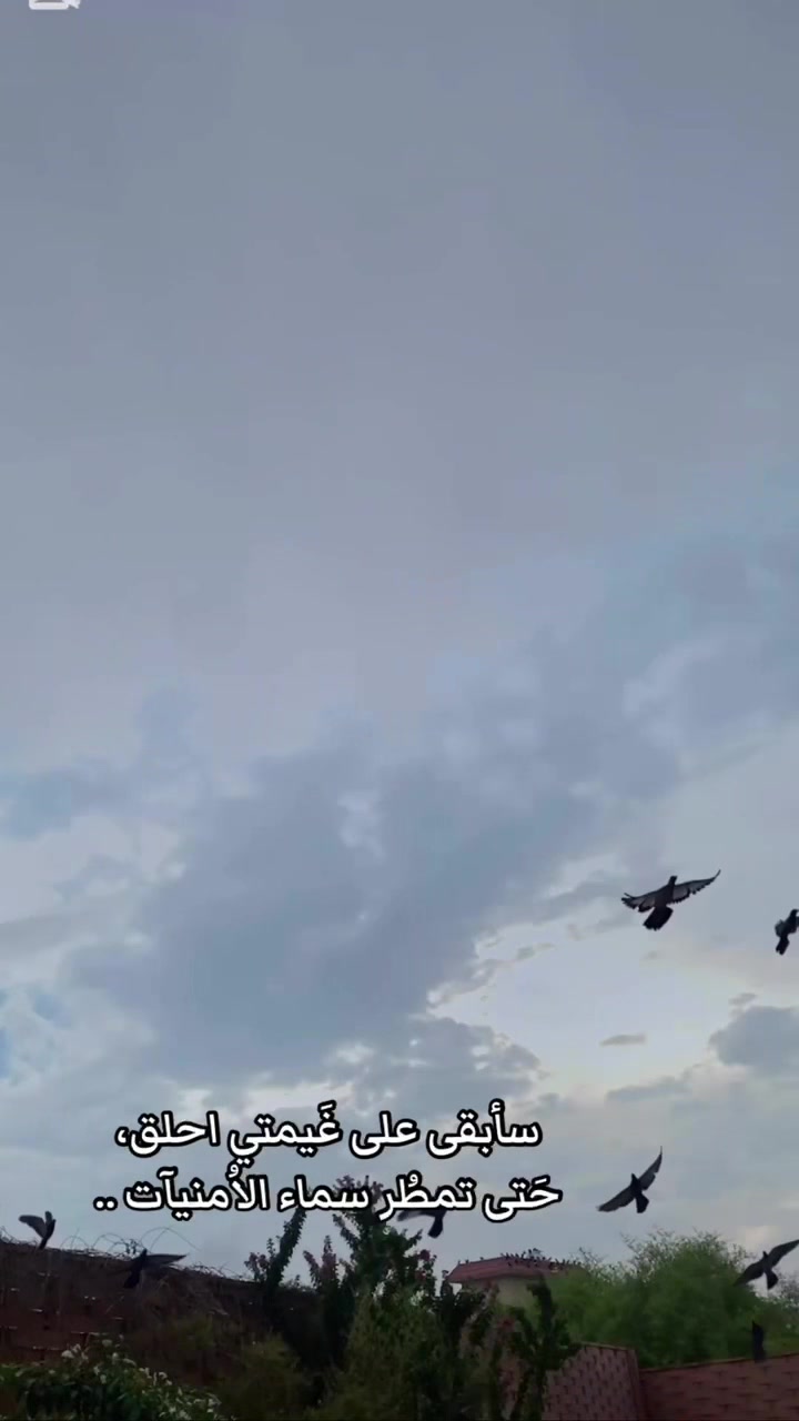 @غصن زيتون
