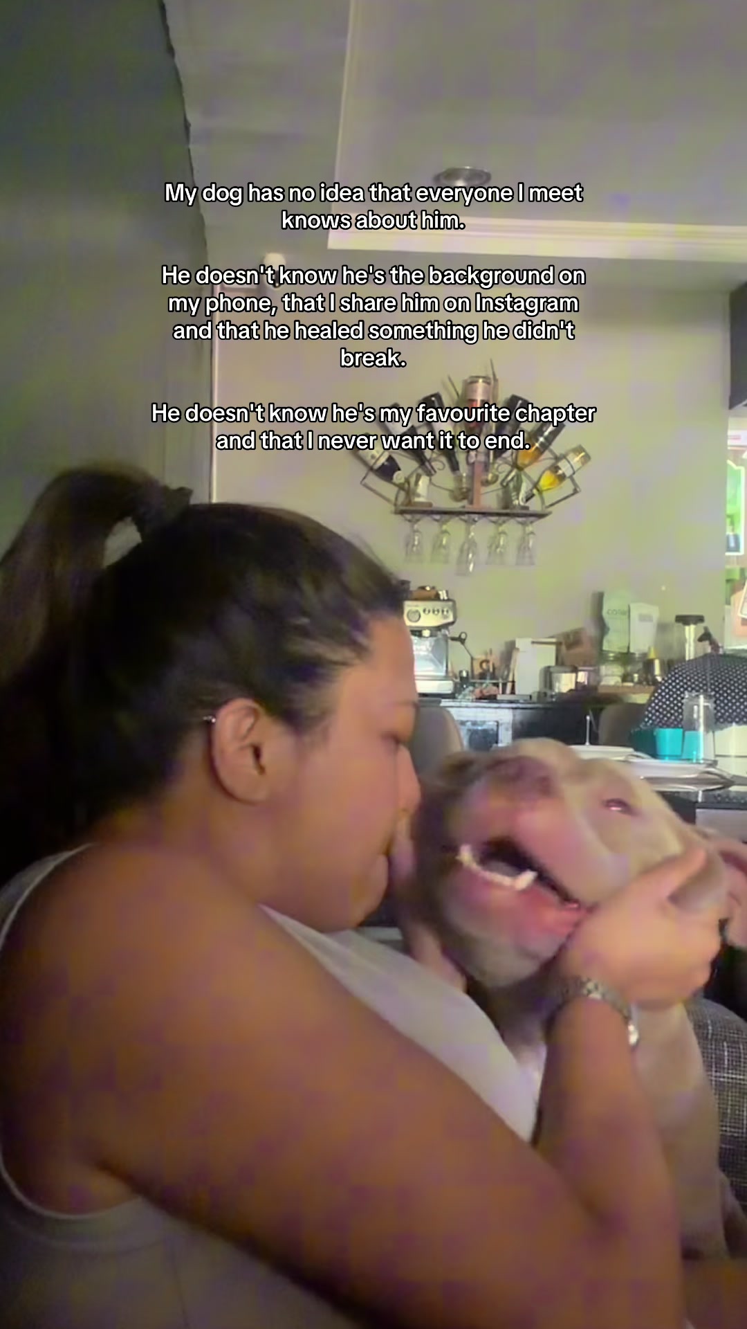 @budollly