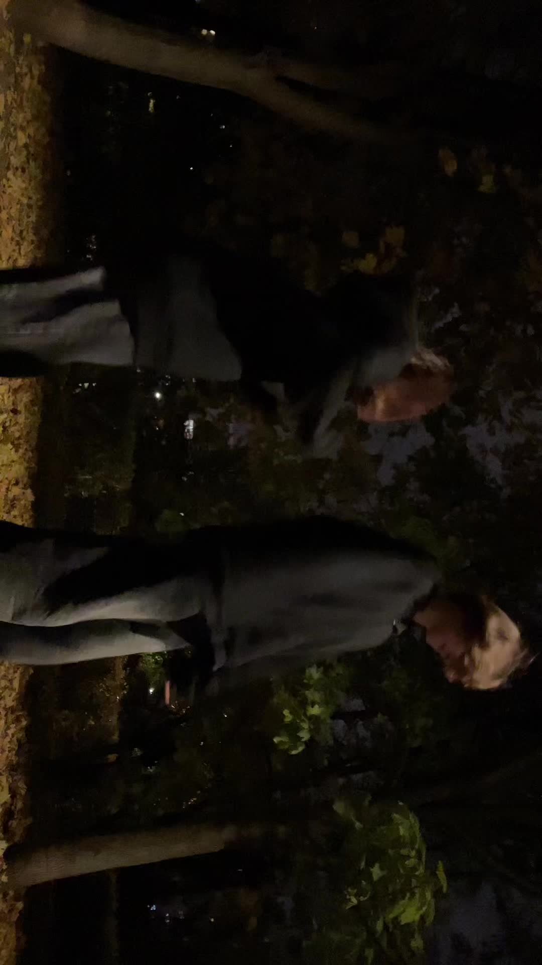 @sthxxx