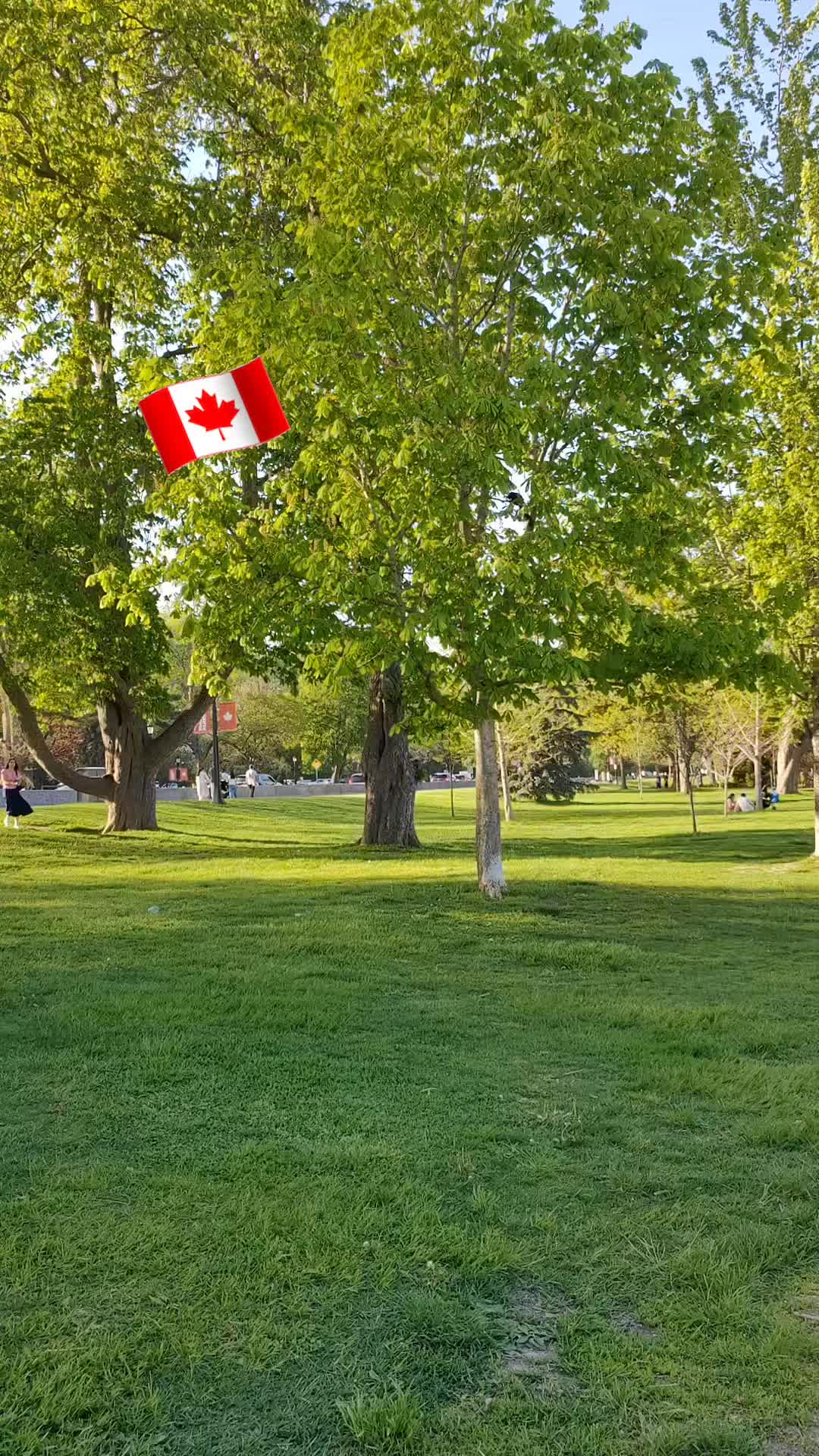 @Sher khan🇨🇦🥀