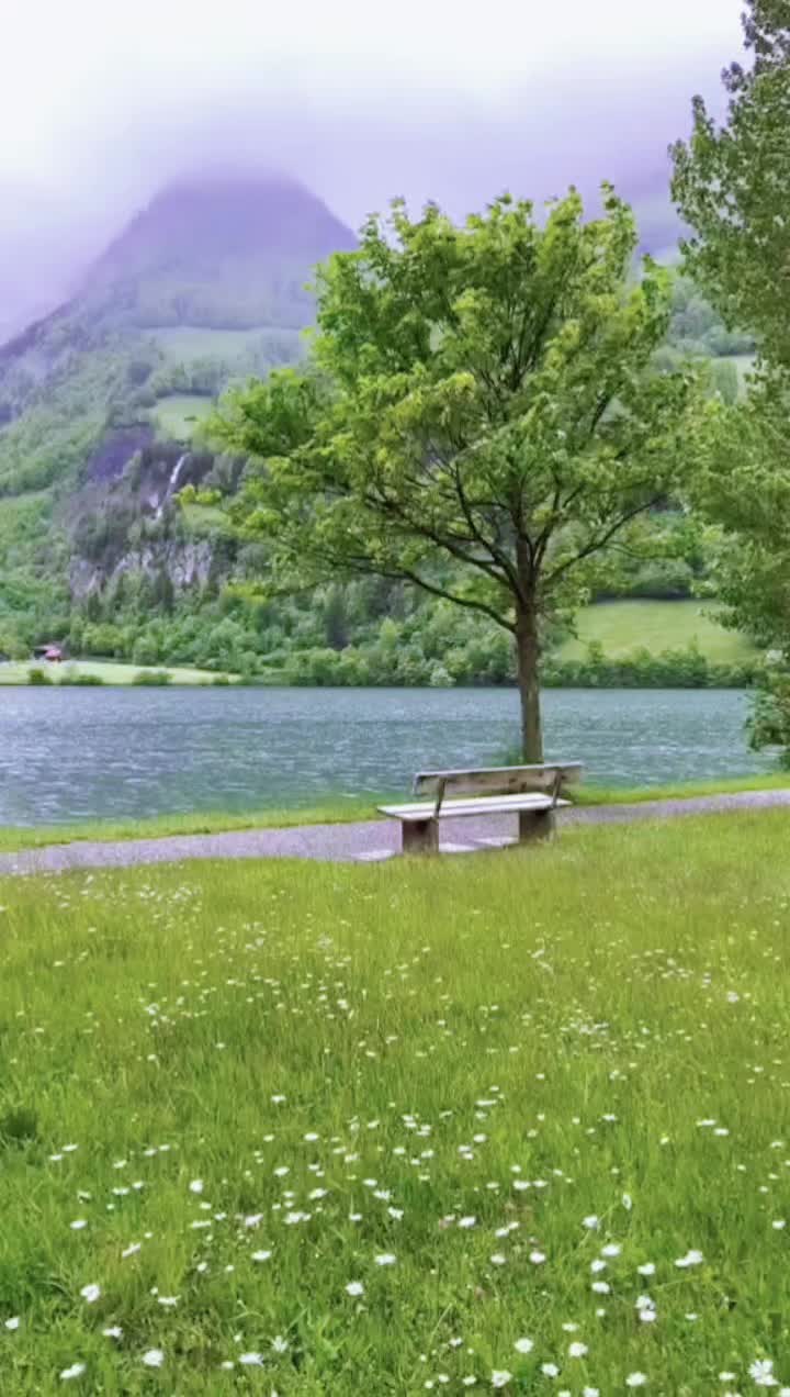 @واثقه بالله