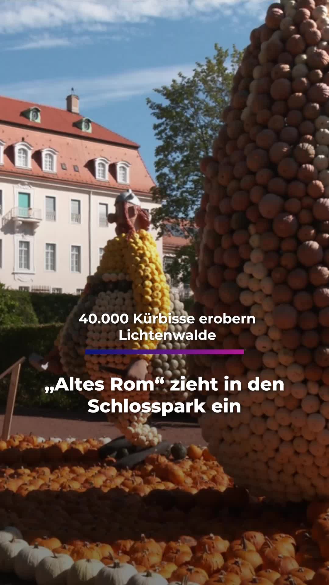 @Sachsen Fernsehen