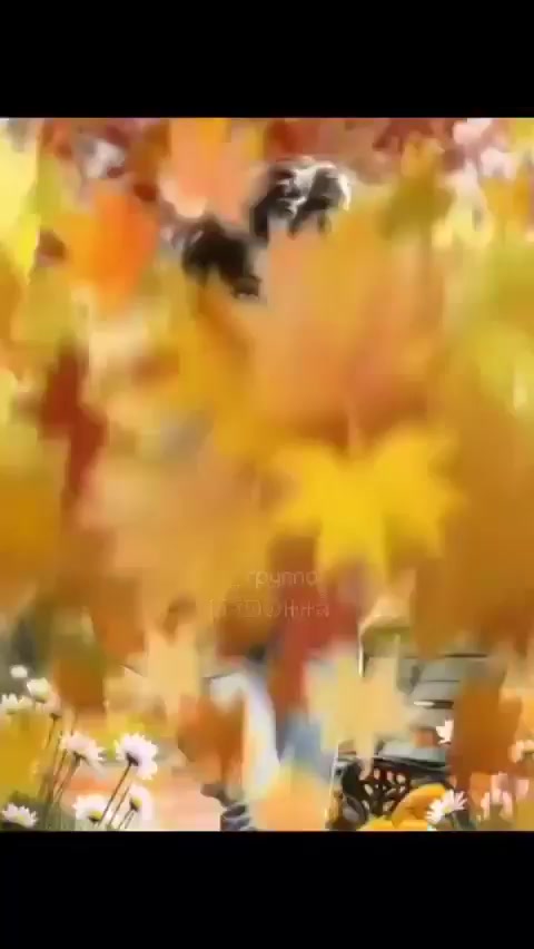 @Татьяна Курилина