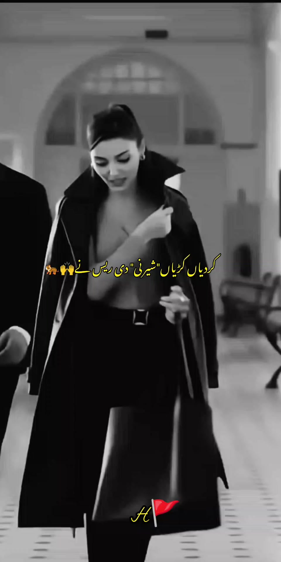 @🚩ح