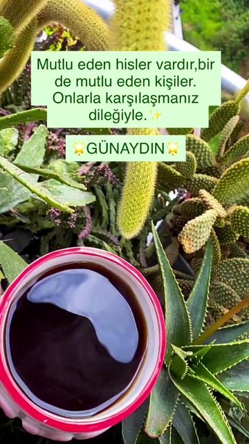 @💝💝 𝖡İ𝖹İ𝖬 𝖪𝖨𝖹 💝💝