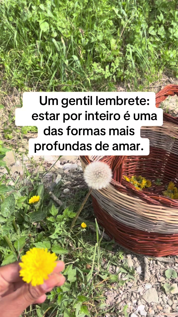 @Vanessa E. Santos | Terapeuta