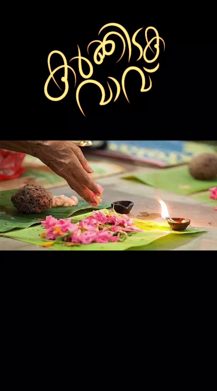 @q8mallu20