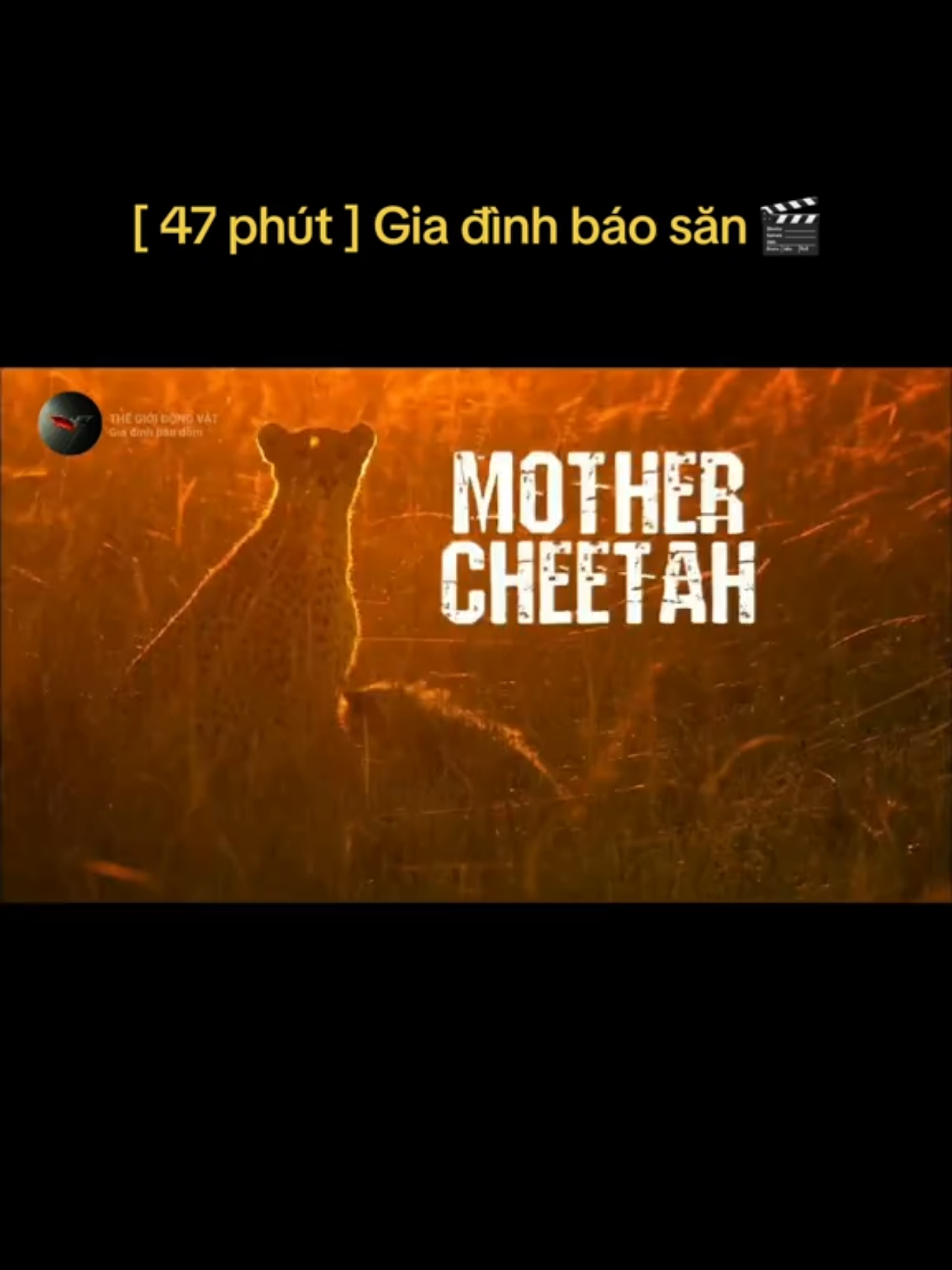 @🌏 BATMAN