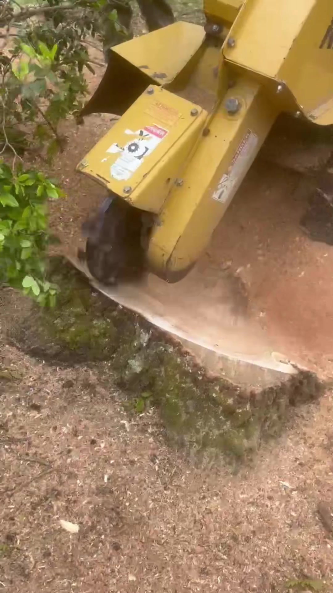 @Chads Tree Service