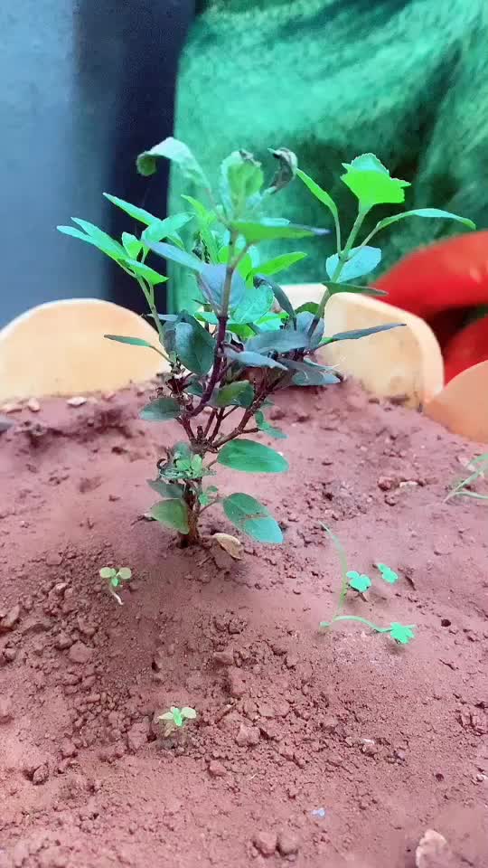 @Netra4777