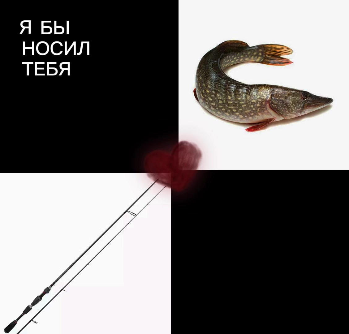 @868