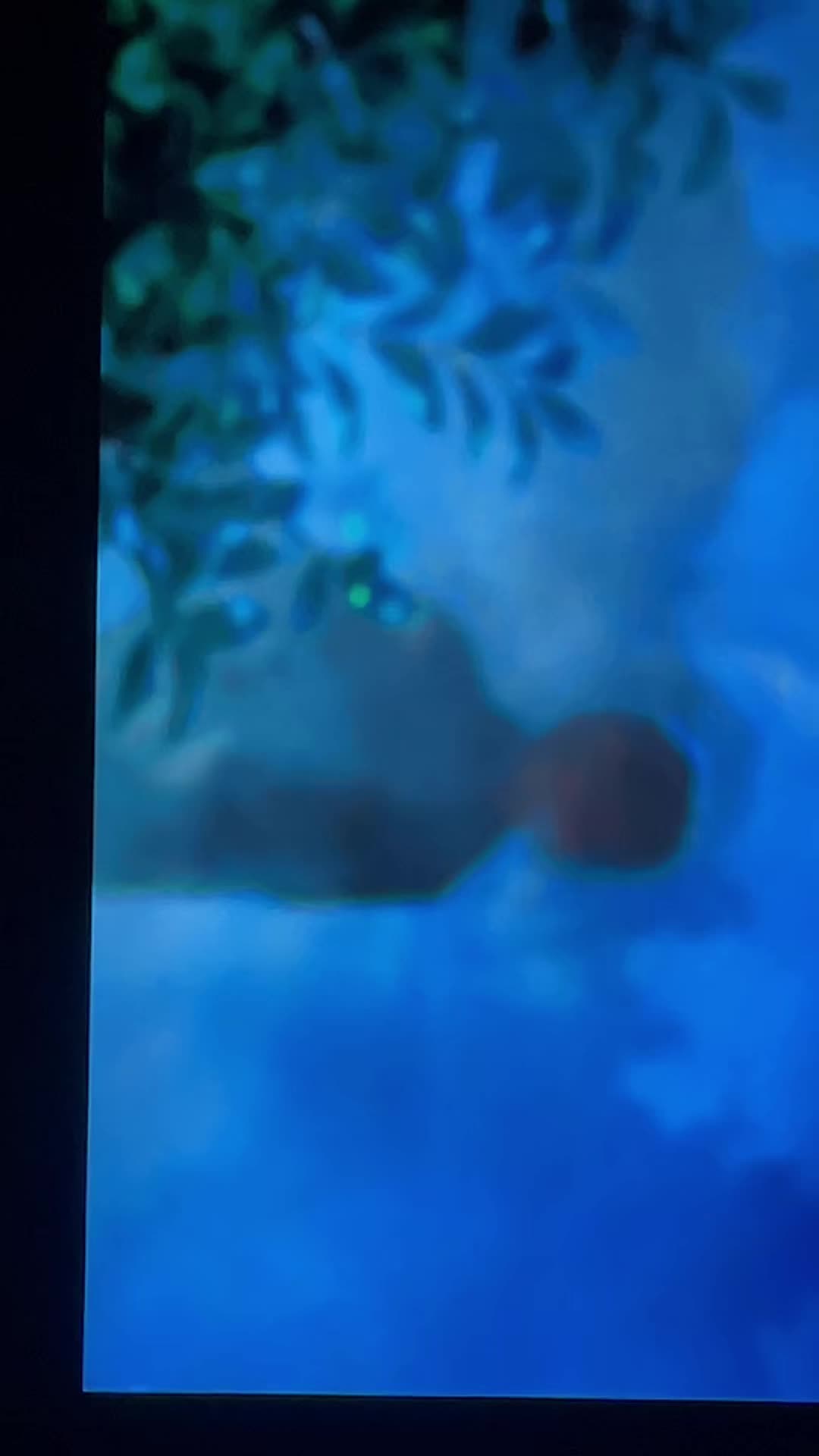 @stoneface