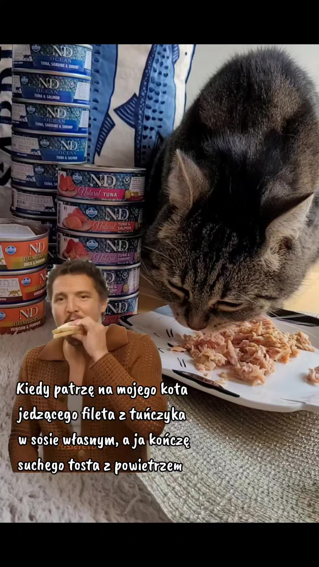 @😻Ekipa Świrka 😻