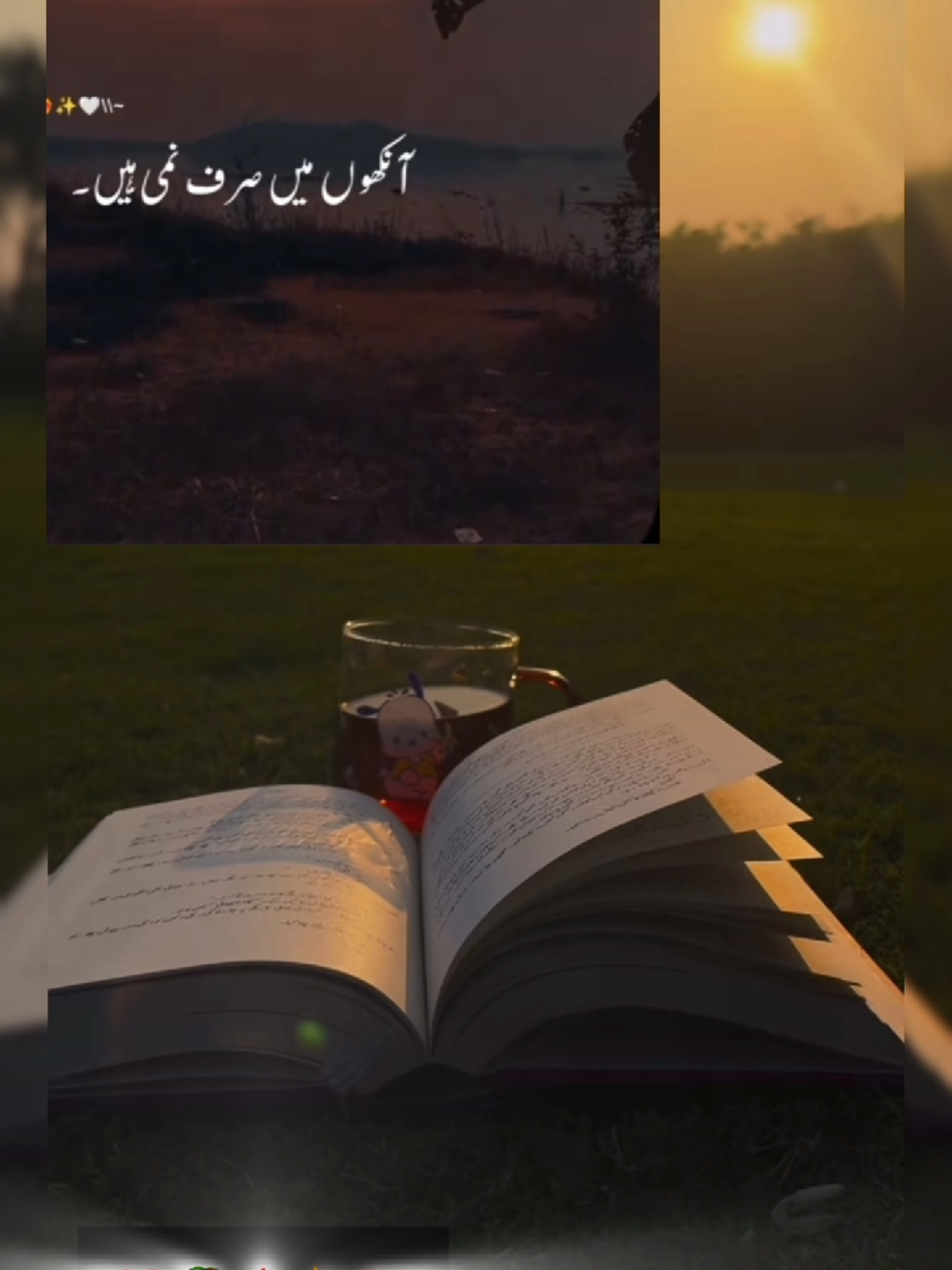 @TikTok Medley