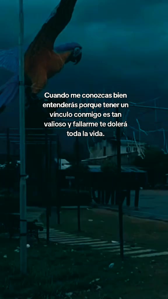 @frases para dedicar ❤
