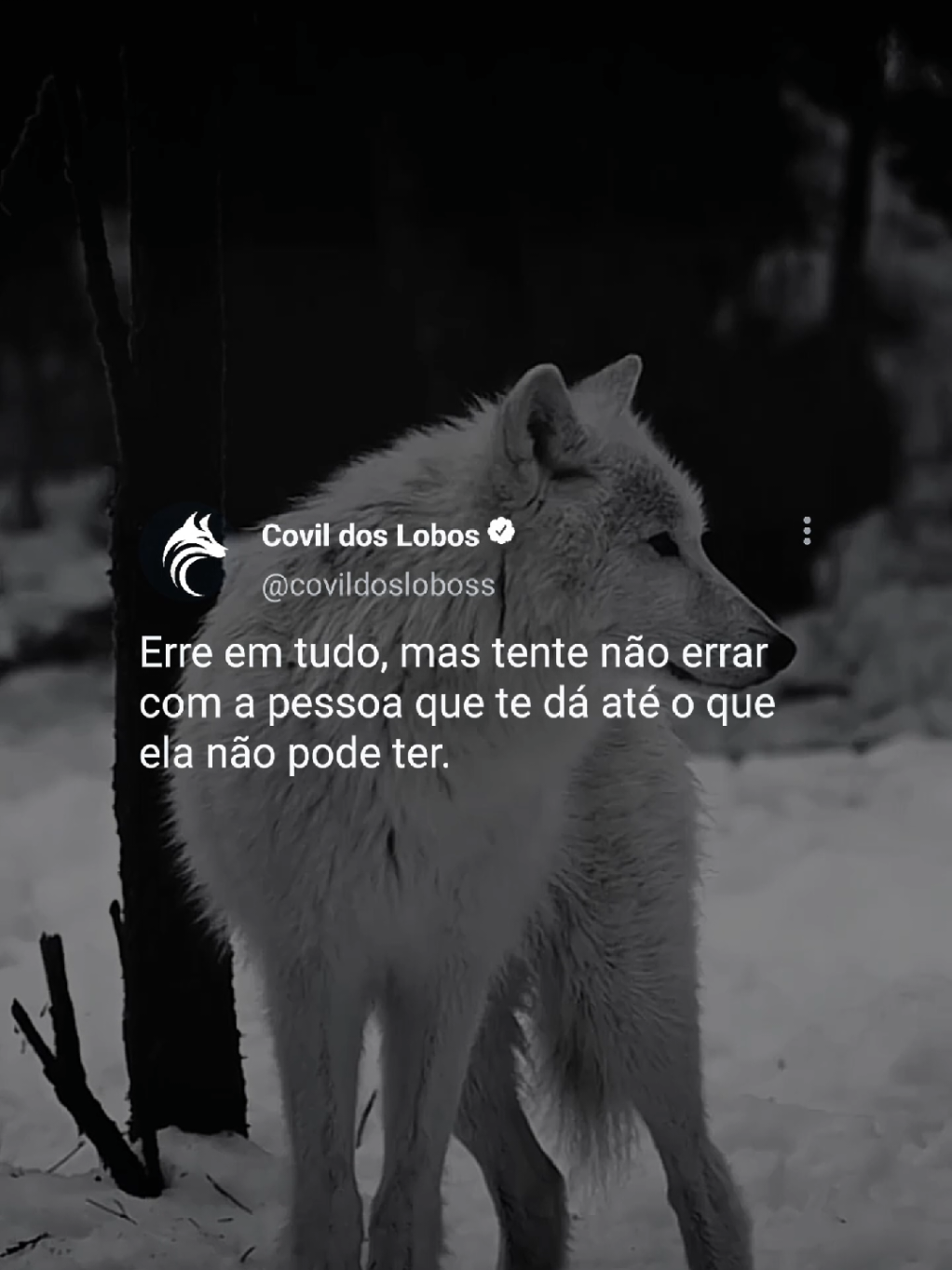 @Covil Dos Lobos